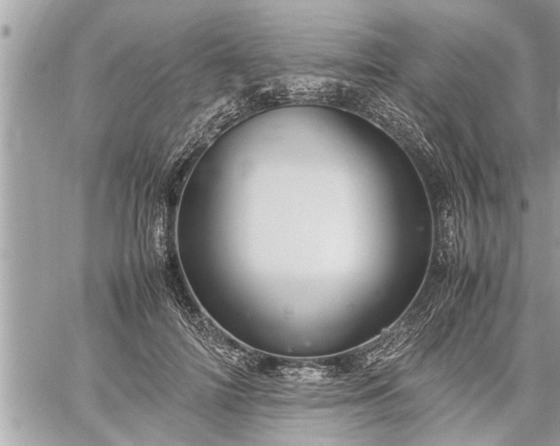 X0000060260698200511010913