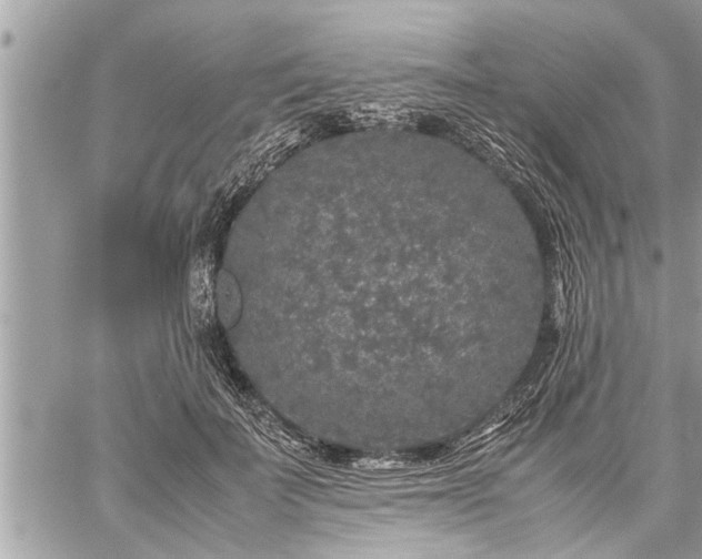 X0000060260699200511010913