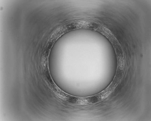 X0000060260701200511010913