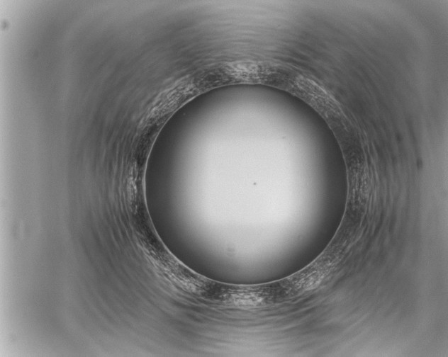 X0000060260702200511010913