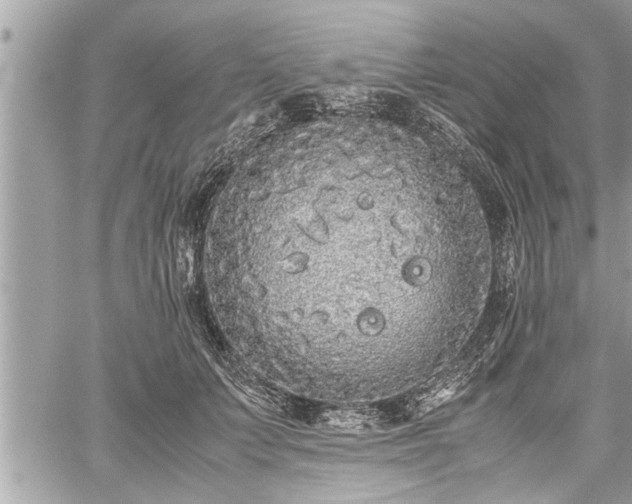 X0000060260703200511010913