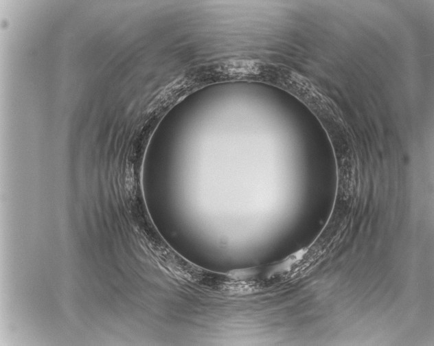 X0000060260704200511010913