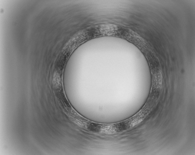 X0000060260705200511010913