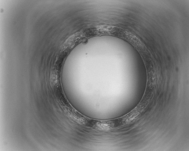 X0000060260706200511010913