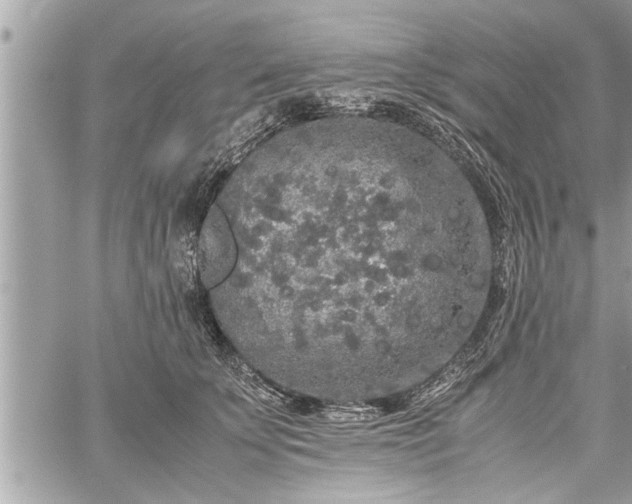 X0000060260707200511010913