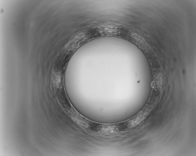 X0000060260709200511010913