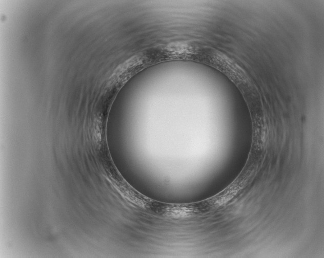 X0000060260710200511010913