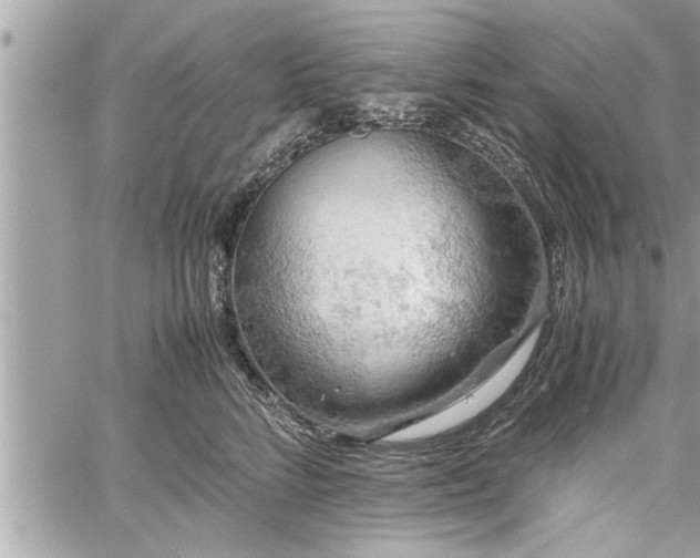 X0000060260712200511010913