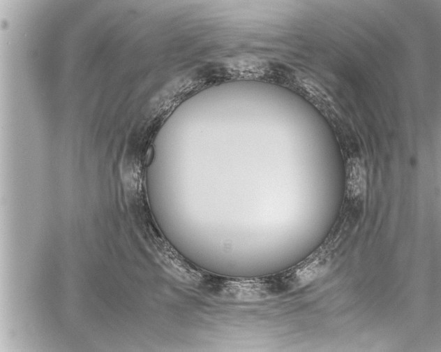 X0000060260713200511010913