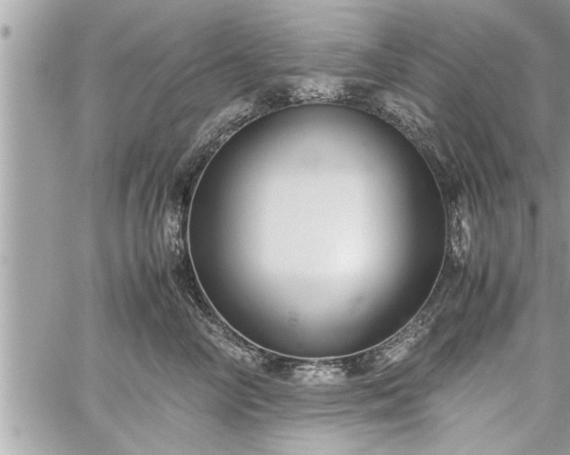 X0000060260714200511010913