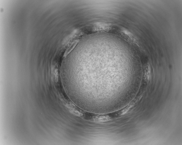 X0000060260716200511010913