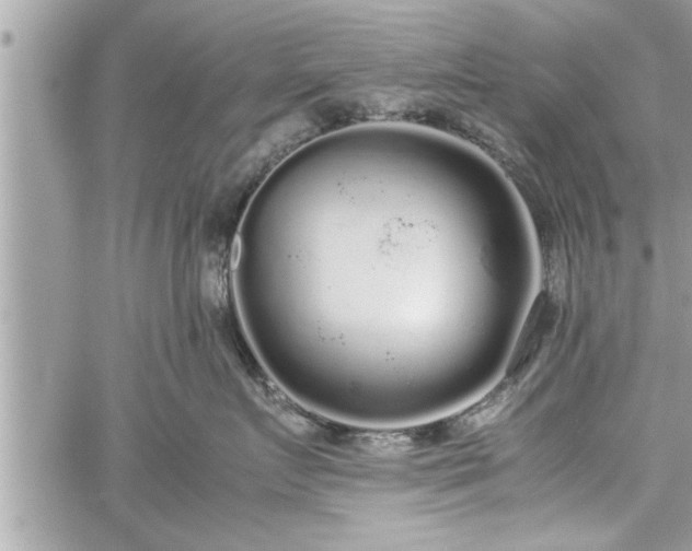 X0000060260719200511010913