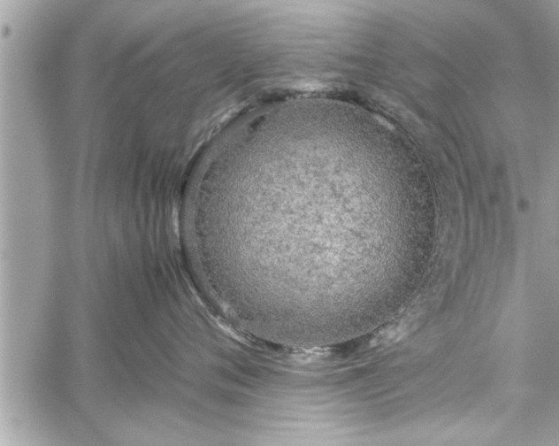 X0000060260720200511010913