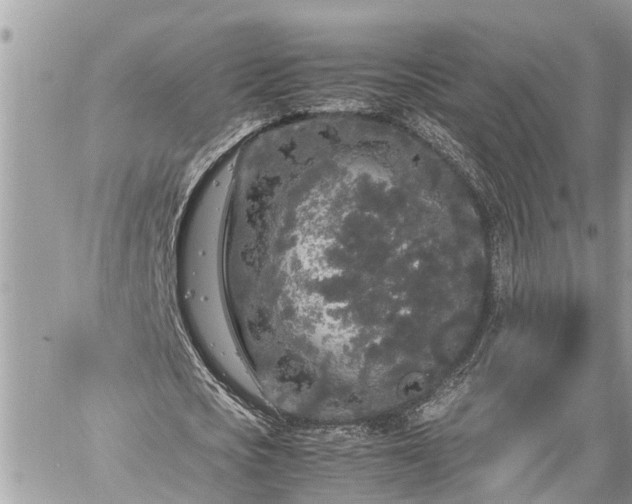 X0000060260721200511010912