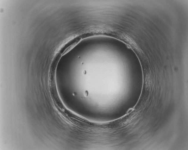 X0000060260722200511010912