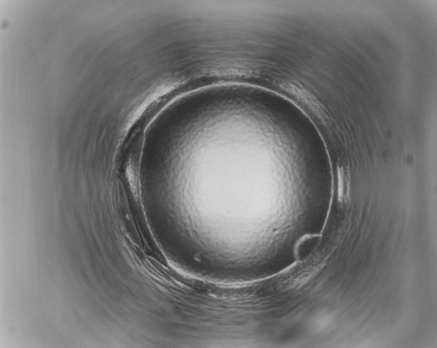 X0000060260723200511010912