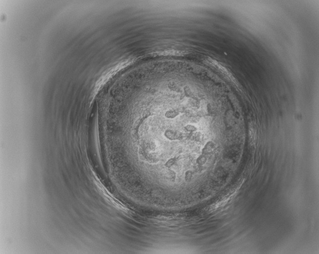 X0000060260725200511010912