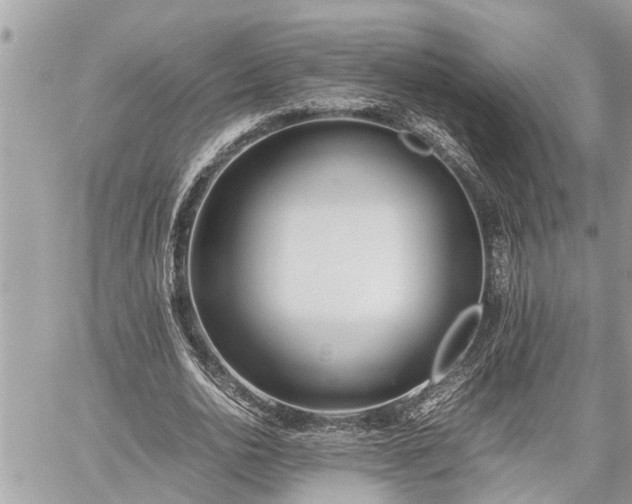 X0000060260726200511010912