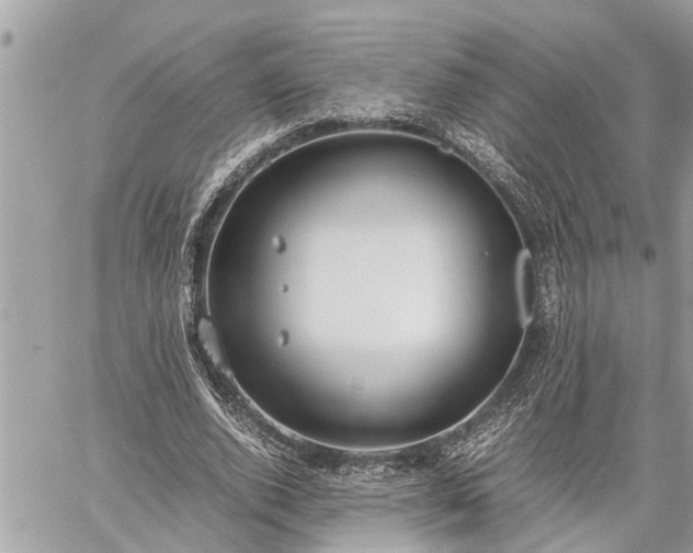 X0000060260728200511010912