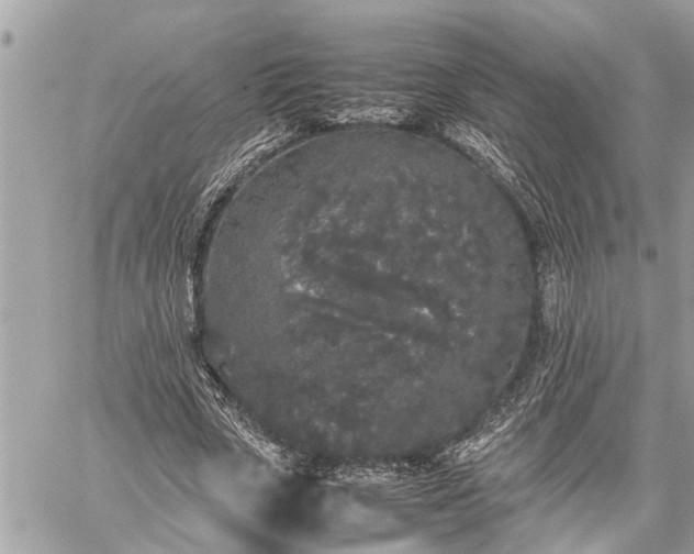 X0000060260729200511010912