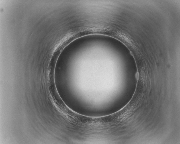 X0000060260730200511010912