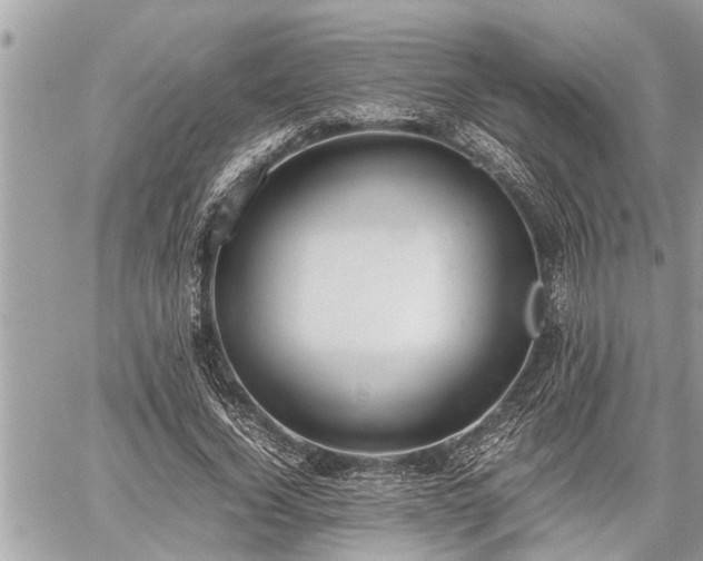 X0000060260732200511010912