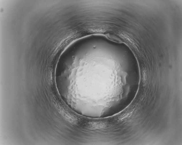 X0000060260733200511010912