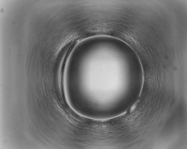 X0000060260735200511010912