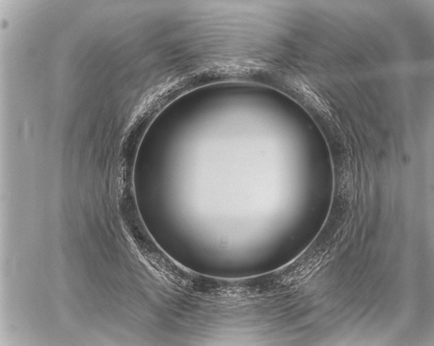 X0000060260736200511010912