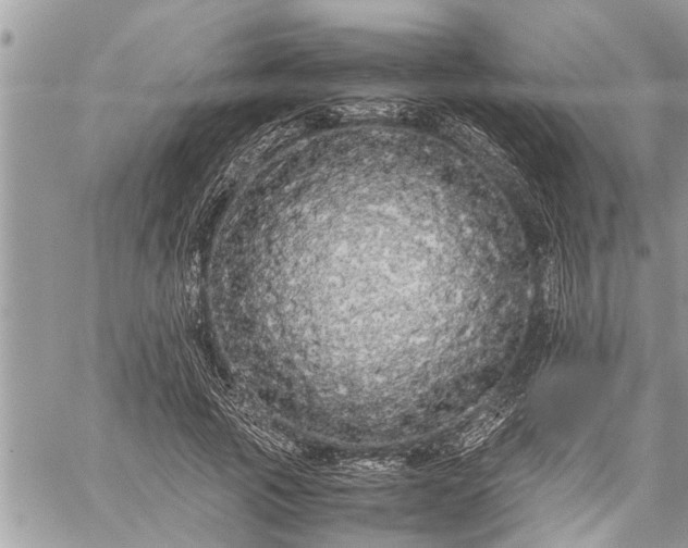 X0000060260737200511010912