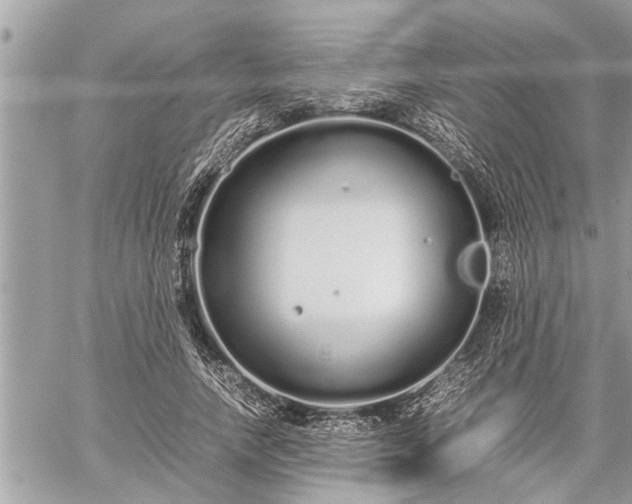 X0000060260738200511010912