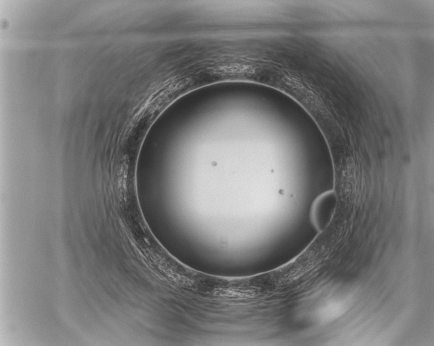 X0000060260739200511010912