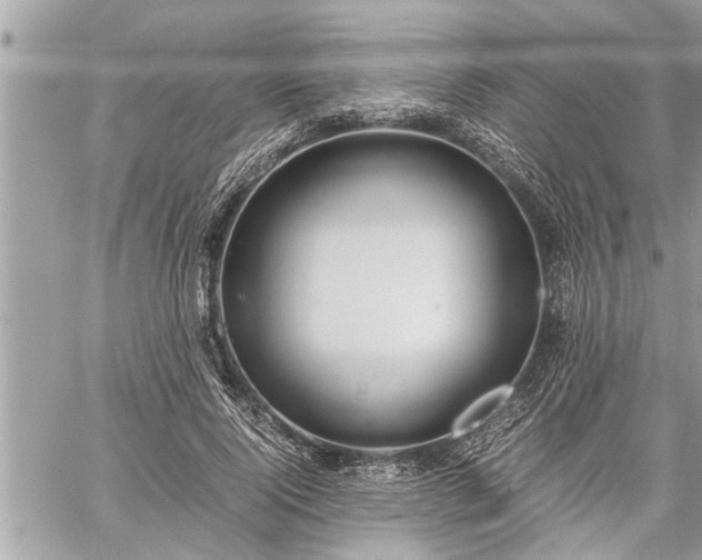 X0000060260740200511010912