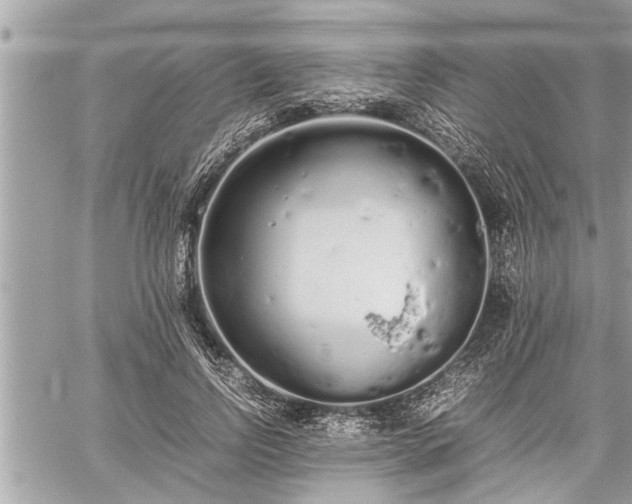 X0000060260742200511010912