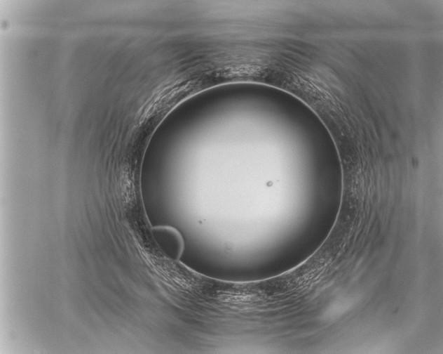 X0000060260743200511010912