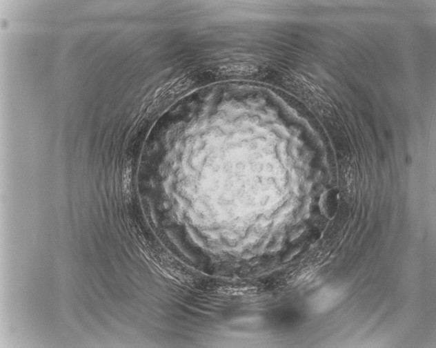 X0000060260745200511010912