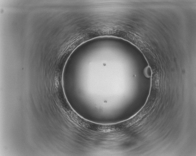 X0000060260746200511010912