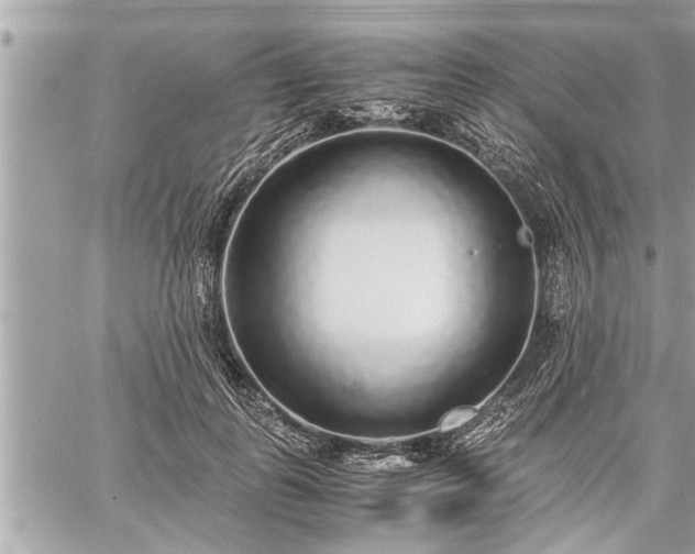 X0000060260747200511010912