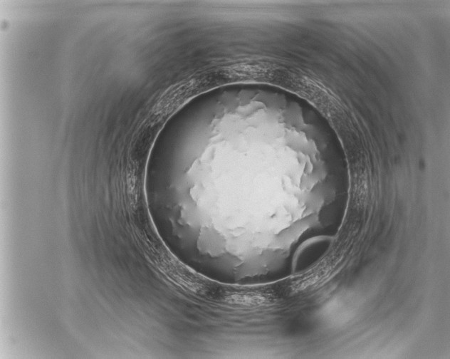 X0000060260749200511010912