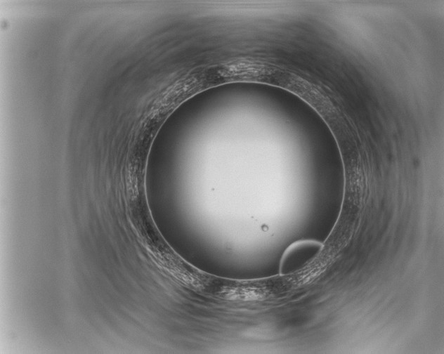 X0000060260751200511010912