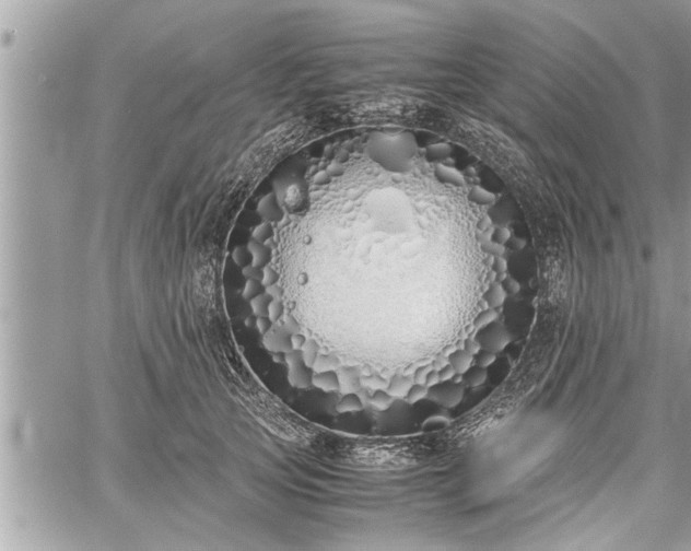 X0000060260753200511010912