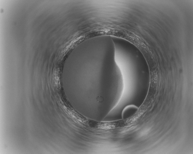 X0000060260754200511010912