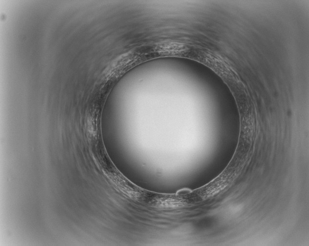 X0000060260755200511010912