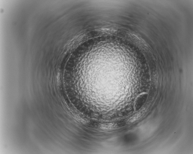 X0000060260757200511010912