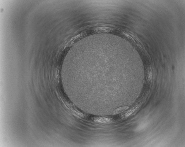 X0000060260759200511010912