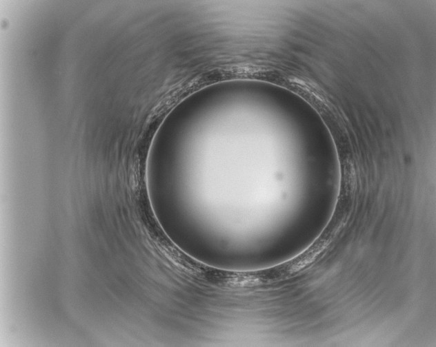 X0000060260760200511010913