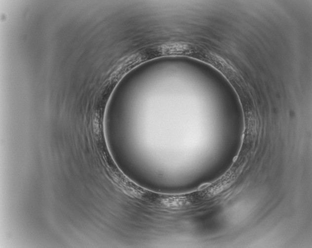 X0000060260761200511010913