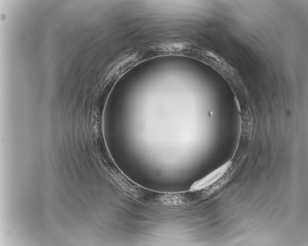 X0000060260762200511010913