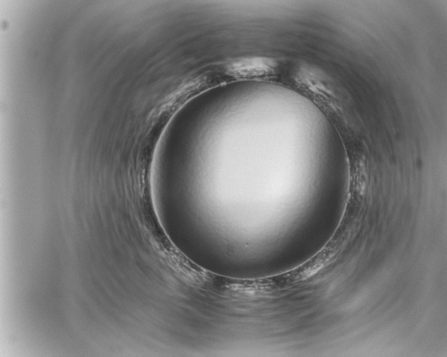 X0000060260763200511010913