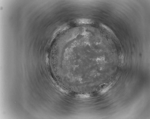 X0000060260765200511010913